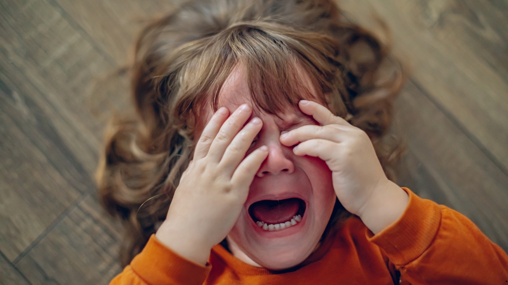 Toddler Tantrums