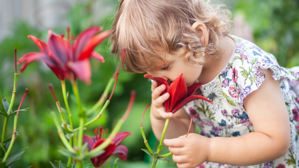 Allergies in Toddlers